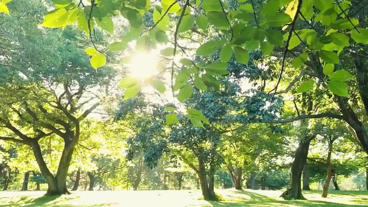 智慧健康养老服务老年人服务与管理专业