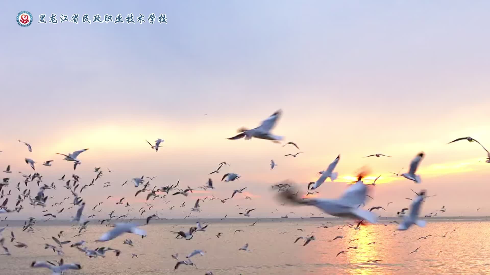 护理专业